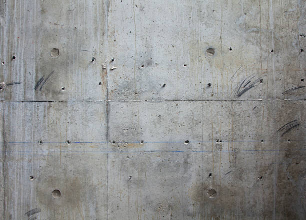 Best Concrete Foundation Repair in Paloma Creek, TX